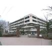 中学校