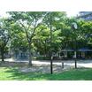 公園