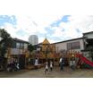 幼稚園、保育園