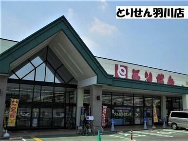 とりせん羽川店