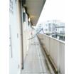 共有部分