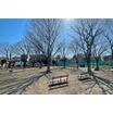公園