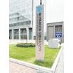 大学