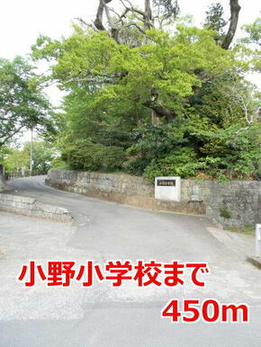 小野小学校