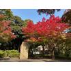 公園