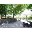公園