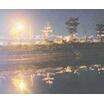 周辺環境