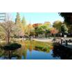 公園