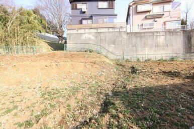 撮影日(2023年3月)