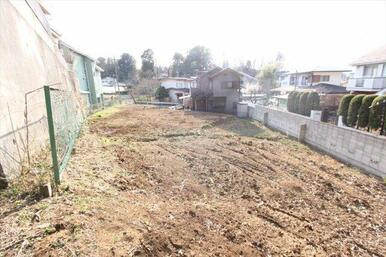 撮影日(2023年3月)