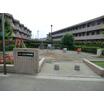 公園