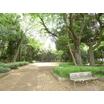 公園