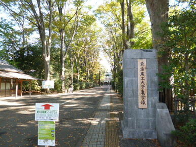 国立東京農工大学農学部