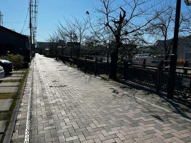 前面道路は桜並木です☆