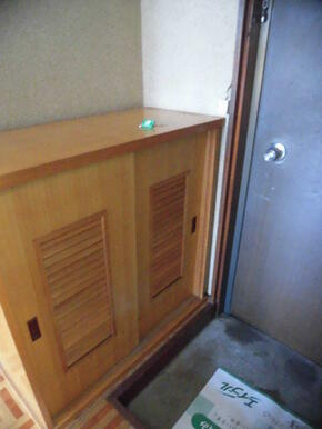 大きなシューズボックス付きです