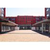 大学