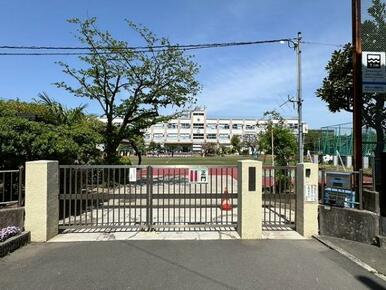 足立区立大谷田小学校：約530ｍ