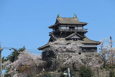 霞ケ城公園