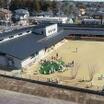 幼稚園、保育園