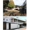 幼稚園、保育園