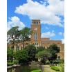 大学