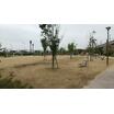 公園
