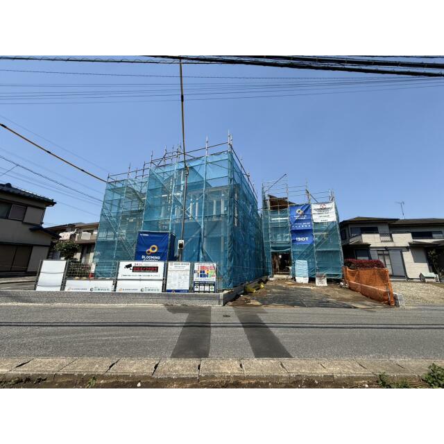 5月上旬撮影