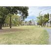 公園