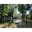公園