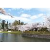 公園