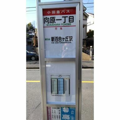 最寄りのバス停