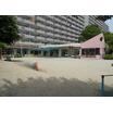 幼稚園、保育園