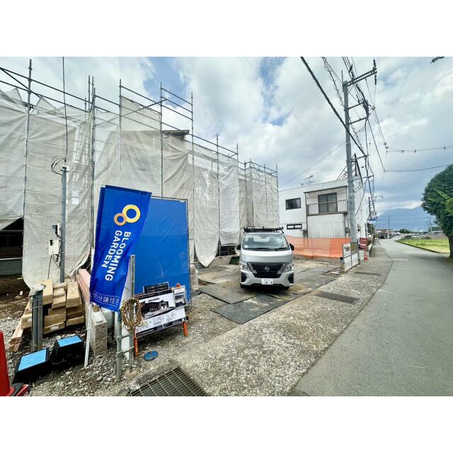現地写真（6/19撮影）