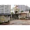 幼稚園、保育園