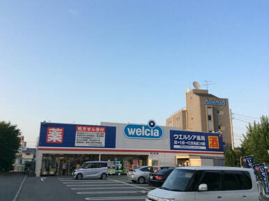 ウエルシア狭山東三ツ木店