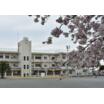 小学校