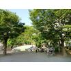 公園