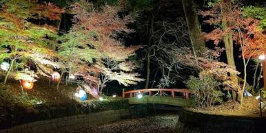 間々田八幡公園