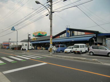 四季食彩館　ムーミー川島店