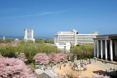 私立創価大学