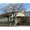 中学校