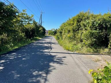 前面道路（西向き）