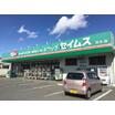 販売店