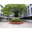 中学校