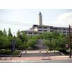 大学