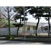 幼稚園、保育園