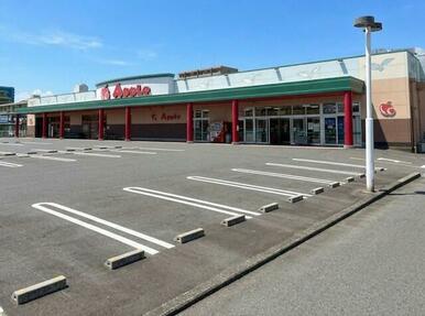 サンライフアップル店