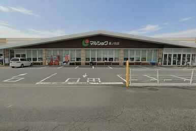 マルショク坂ノ市店