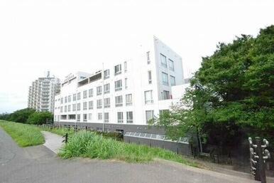 東京高等学校