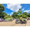 公園